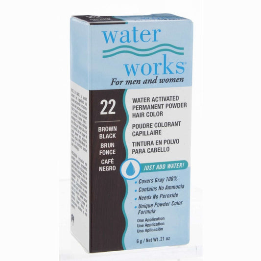 Waterworks Powder Hair Color 22 Brown Black 0.2 Oz